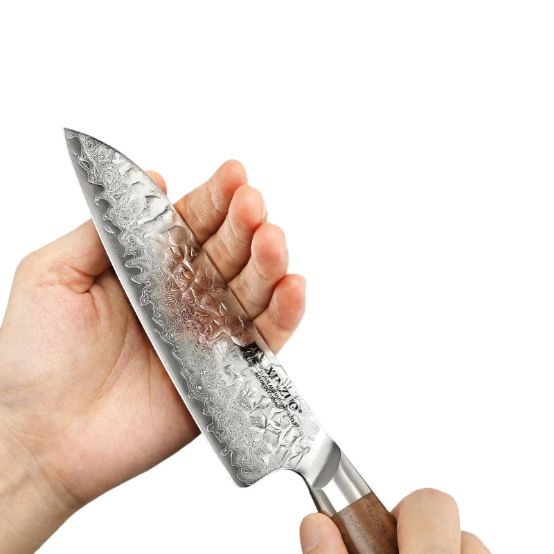Couteau de Cuisine Japonais Lame Damas
