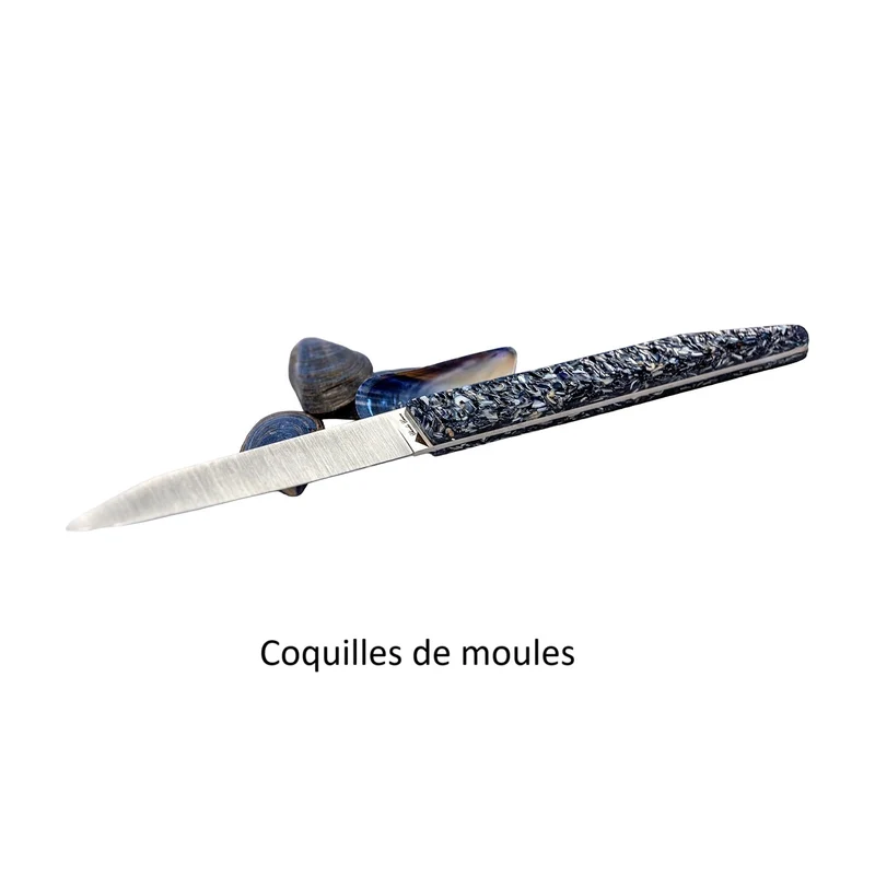 6 couteaux de table avec un mélange de finition