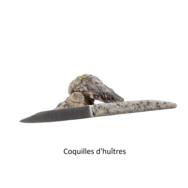 6 couteaux de table avec un mélange de finition