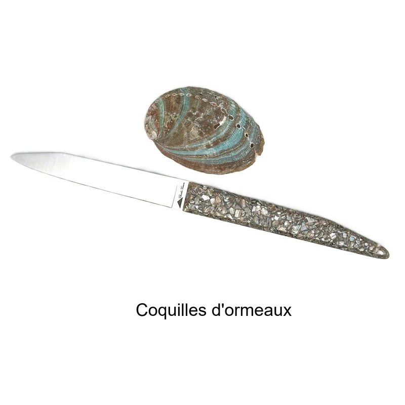 6 couteaux de table avec un mélange de finition
