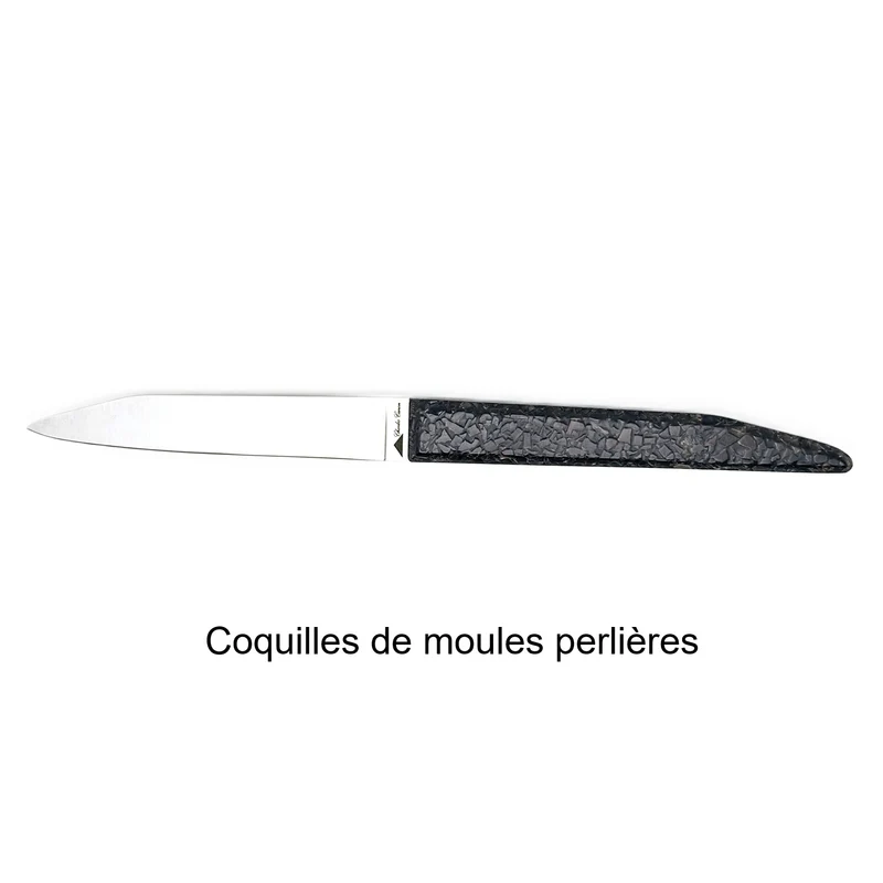 6 couteaux de table avec un mélange de finition