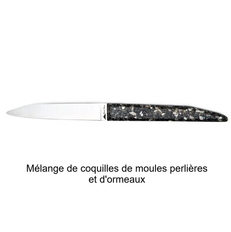 6 couteaux de table avec un mélange de finition