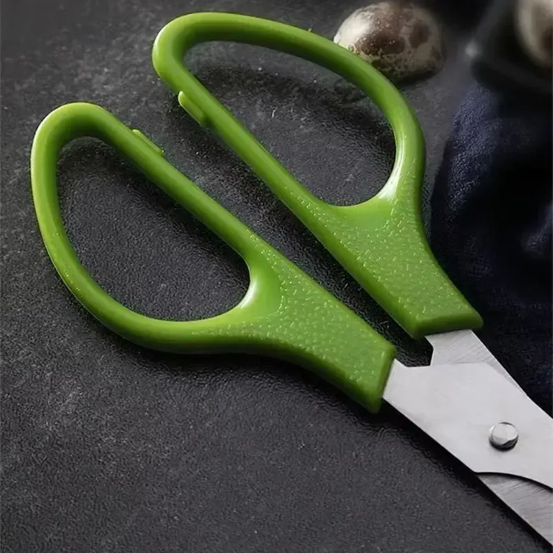 Ciseaux à œufs de caille en inox avec poignée ergonomique