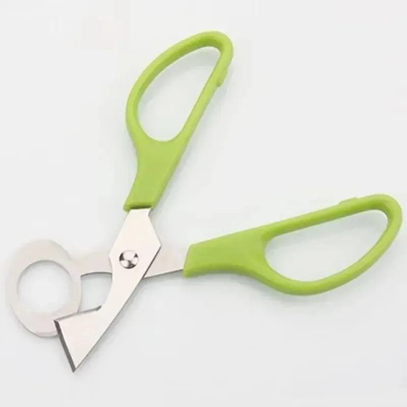 Ciseaux à œufs de caille en inox avec poignée ergonomique