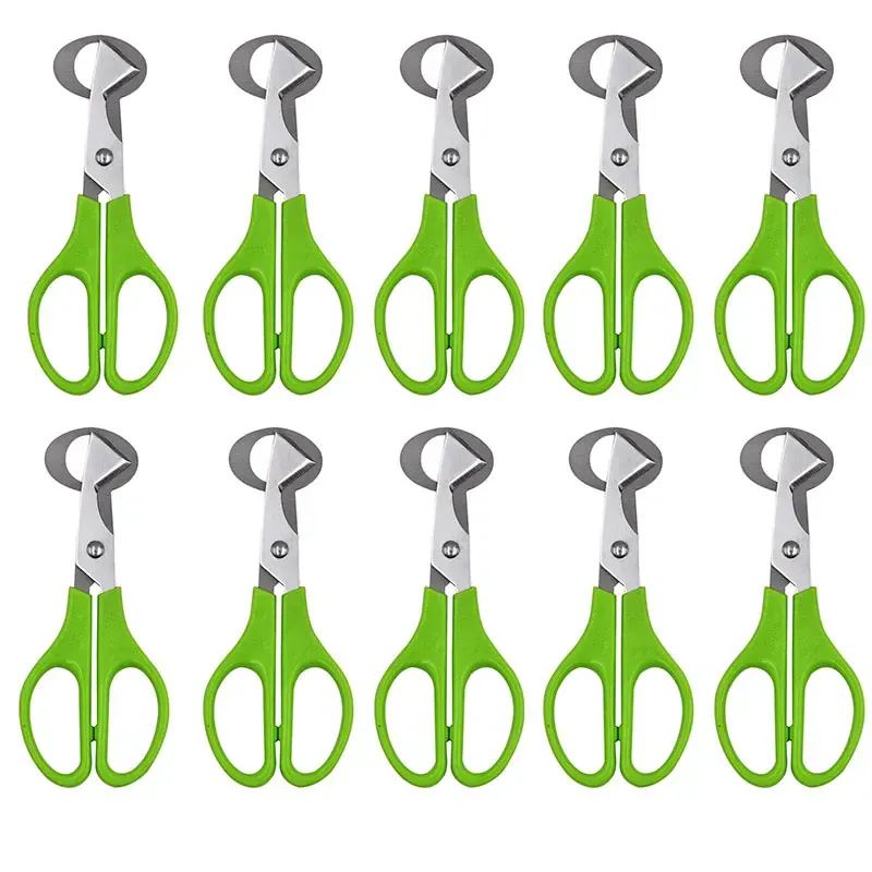 Ciseaux à œufs en inox 10 pièces pour couper les œufs de caille