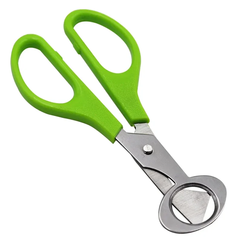 Ciseaux à œufs en inox 10 pièces pour couper les œufs de caille