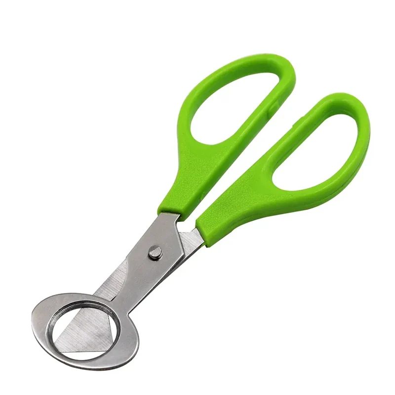 Ciseaux à œufs en inox 10 pièces pour couper les œufs de caille