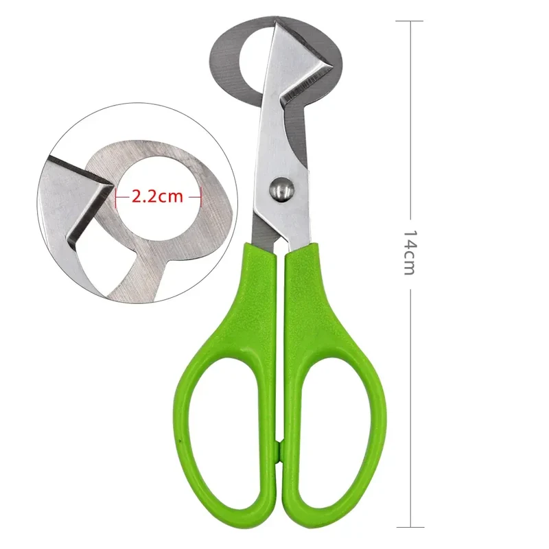 Ciseaux à œufs en inox 10 pièces pour couper les œufs de caille