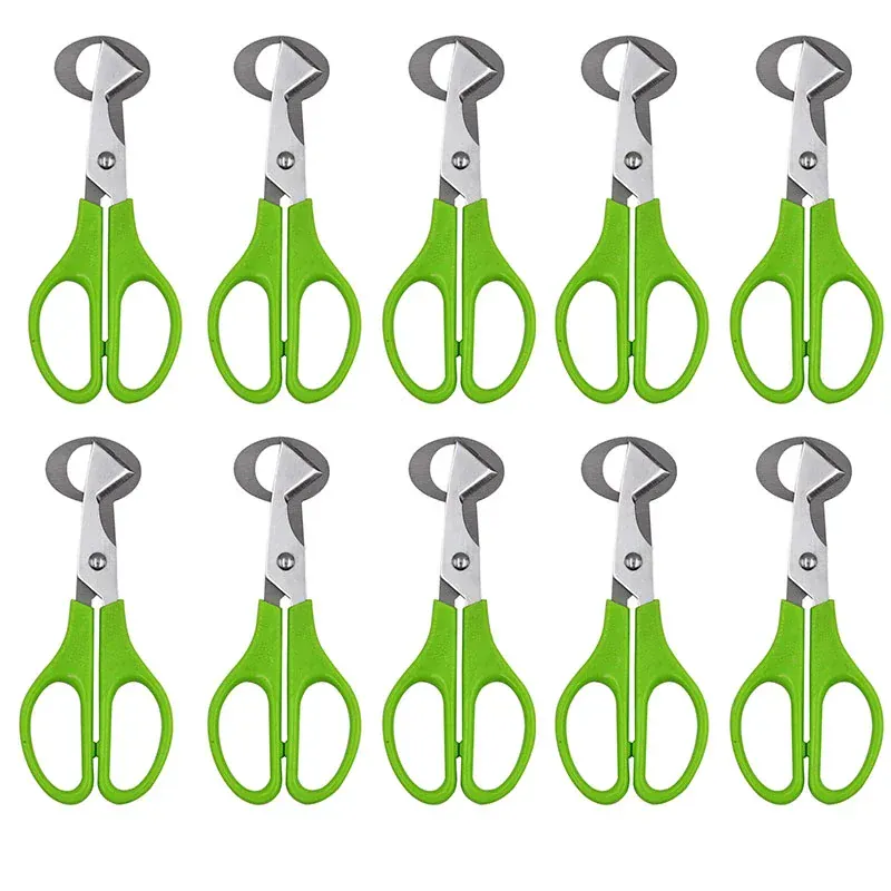 Ciseaux à œufs en inox 10 pièces pour couper les œufs de caille