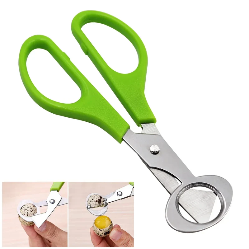 Ciseaux à œufs en inox 10 pièces pour couper les œufs de caille