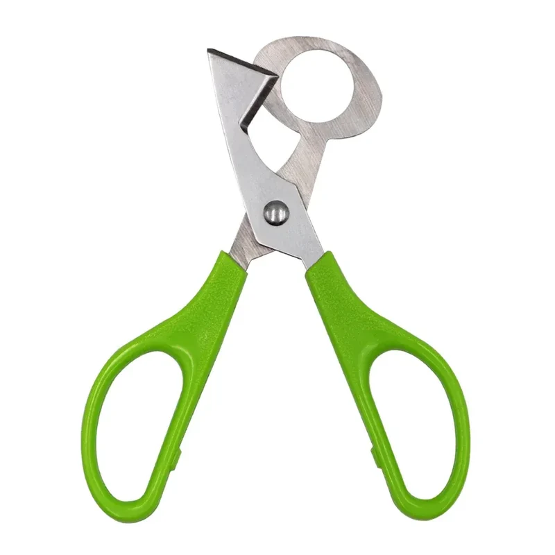 Ciseaux à œufs en inox 10 pièces pour couper les œufs de caille