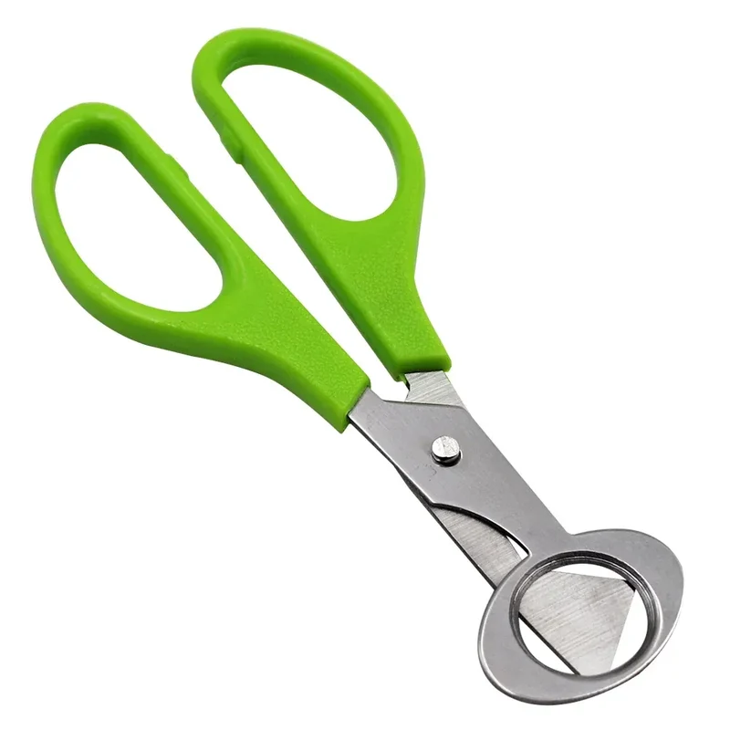 Ciseaux à œufs en inox 10 pièces pour couper les œufs de caille