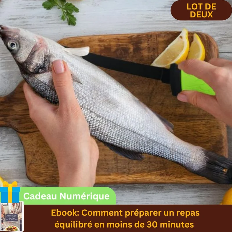 Couteau à poisson｜Librecook™