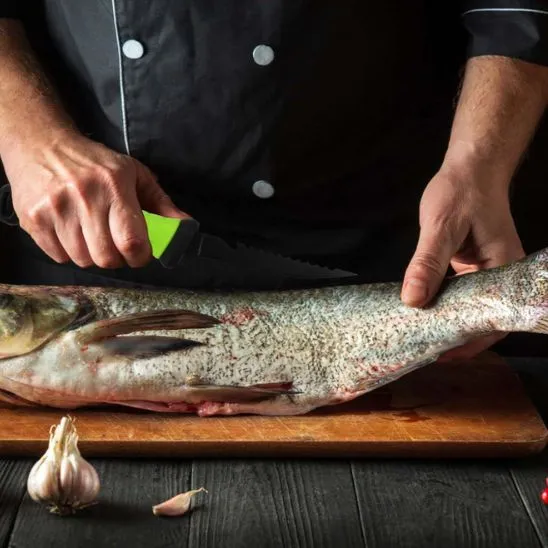 Couteau à poisson｜Librecook™
