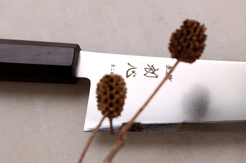 Couteau de chef gyuto 24cm japonais artisanal Hatsukokoro Kaijin BS2 ébène