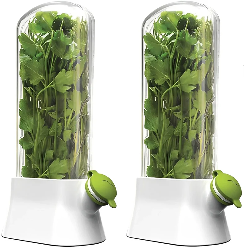 Pot de Conservation Herbes Fraîches 500ml pour Réfrigérateur
