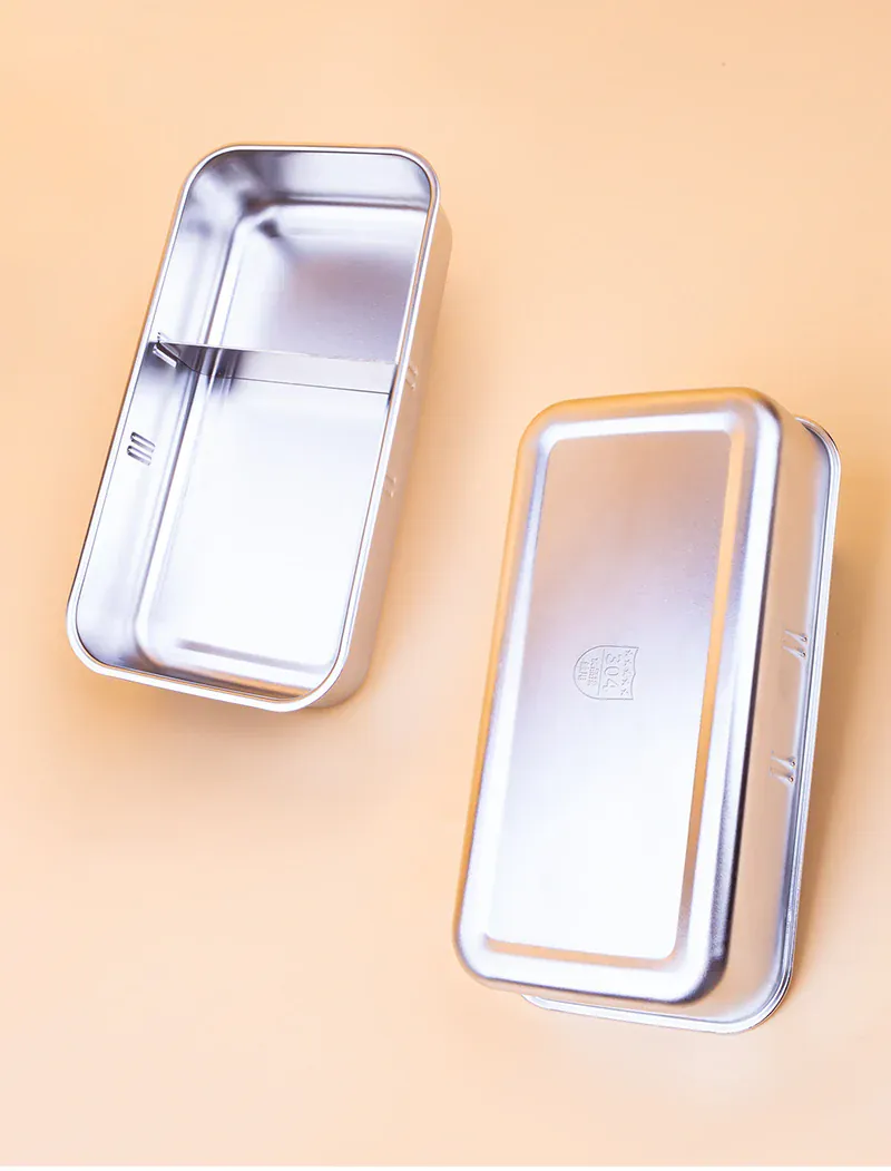 Lunch Box Chauffante Électrique 800 ml — Cuve Inox, 70 °C, USB et Secteur 220 V