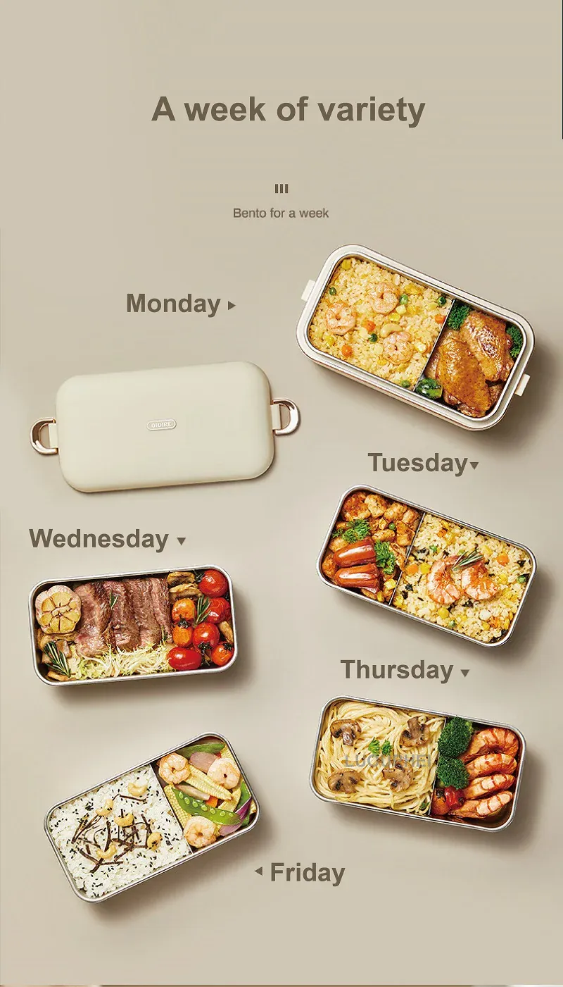 Lunch Box Chauffante Électrique 45W 800ml — Cuve Inox 304, Sans Eau, 70°C