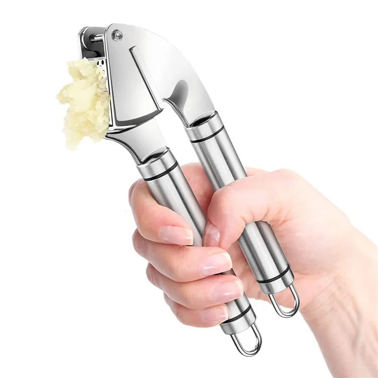 Presse-ail Acier Inoxydable | Kit avec Peeling en Silicone et Brosse