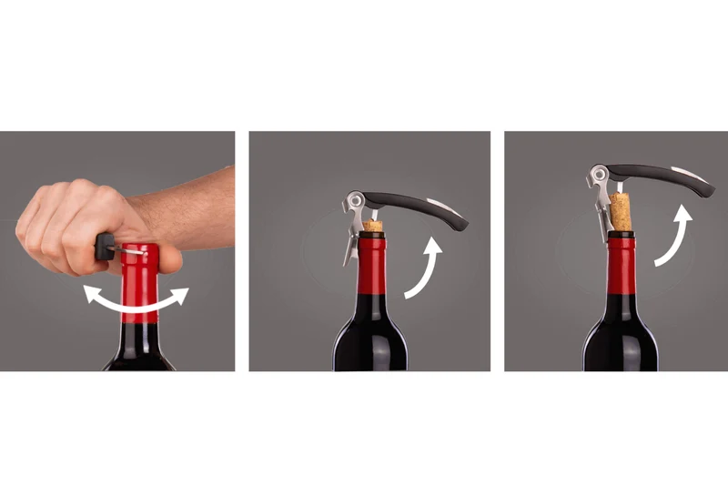 Coffret vin Vacu Vin classique 4 pièces