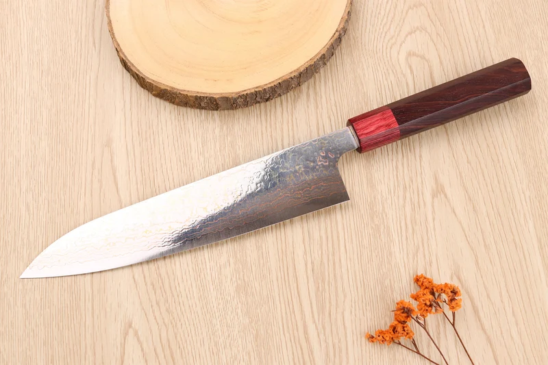 Couteau de chef 21cm japonais artisanal Takeshi Saji VG10 Rainbow