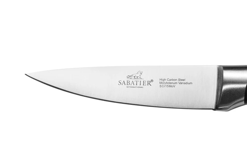 Bloc Sabatier International Oslo en bois + 4 couteaux Hercules