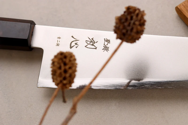 Couteau de chef gyuto kiritsuke 22cm japonais artisanal Hatsukokoro Kaijin BS2 ébène