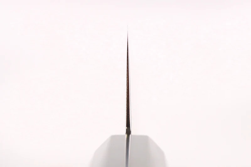 Couteau de chef gyuto kiritsuke 22cm japonais artisanal Hatsukokoro Kaijin BS2 ébène