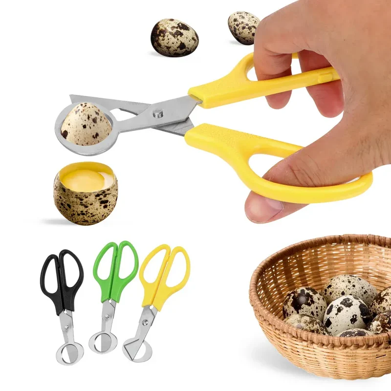 Ciseaux à Oeufs de Caille Inox Multifonctions - Lot de 3 Pièces