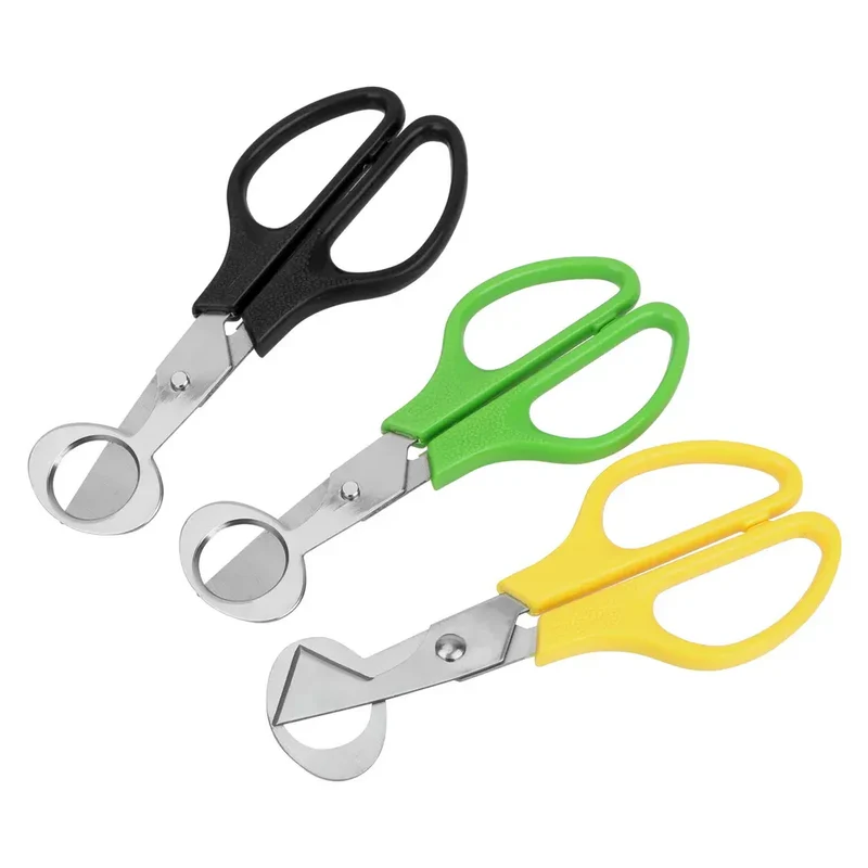 Ciseaux à Oeufs de Caille Inox Multifonctions - Lot de 3 Pièces