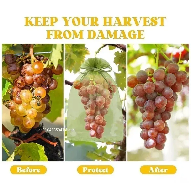 Sacs Filet Réutilisables en Organza – Protection Fruits, Raisin & Oiseaux