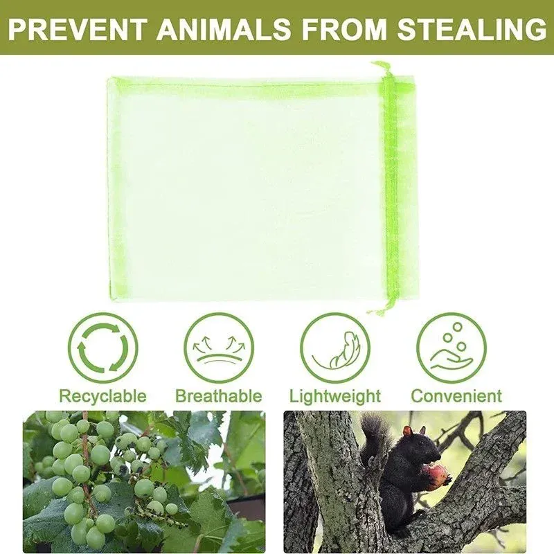 Sacs Filet Réutilisables en Organza – Protection Fruits, Raisin & Oiseaux