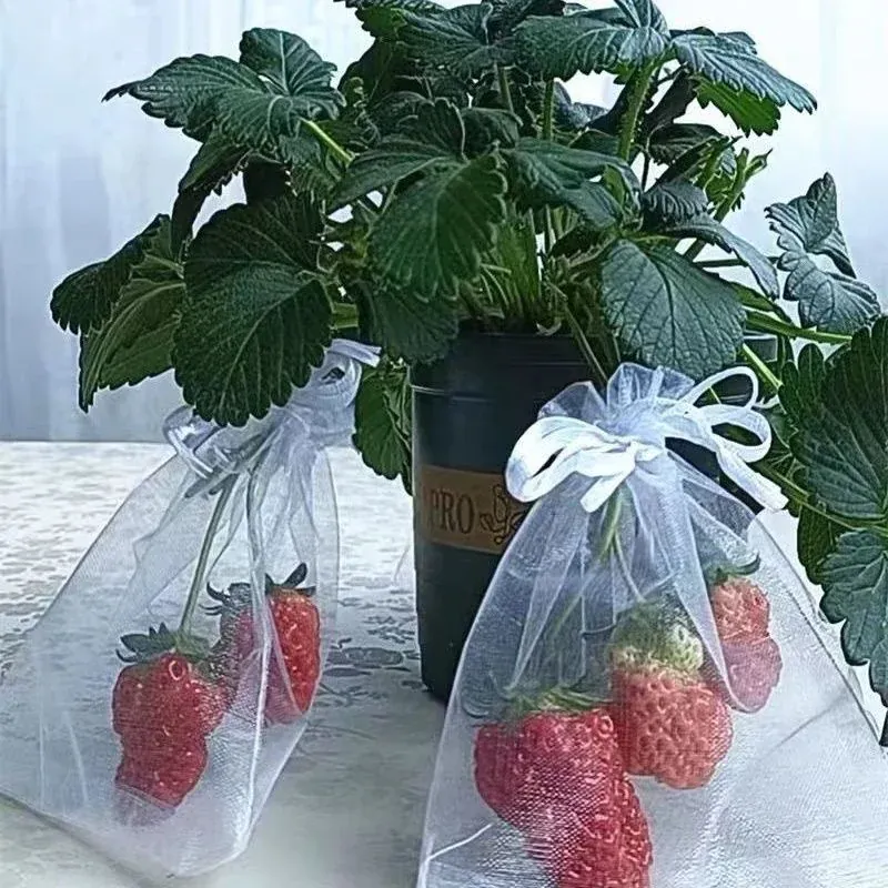 Sacs Filet Réutilisables en Organza – Protection Fruits, Raisin & Oiseaux