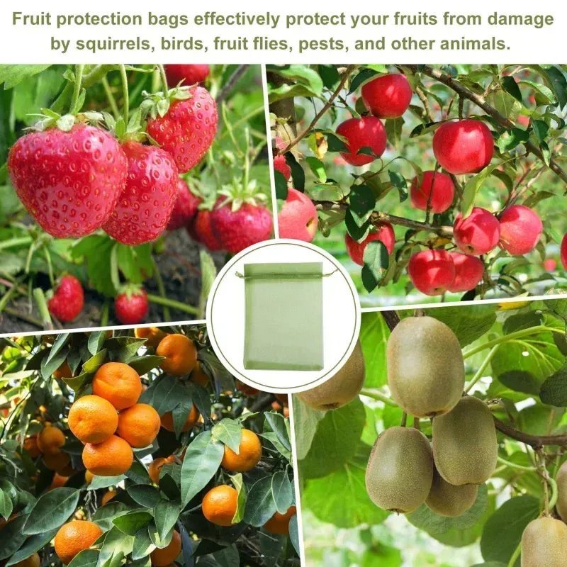Sacs Filet Réutilisables en Organza – Protection Fruits, Raisin & Oiseaux