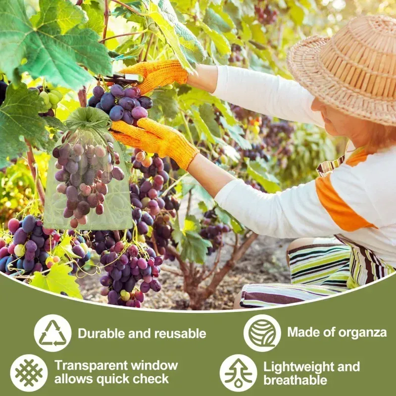 Sacs Filet Réutilisables en Organza – Protection Fruits, Raisin & Oiseaux