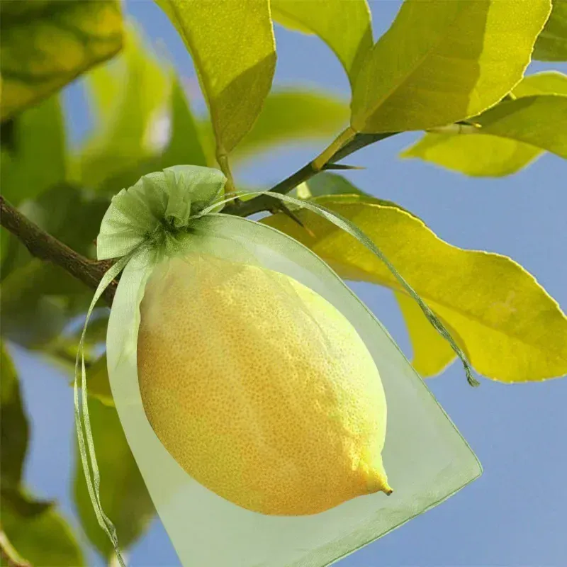 Sacs Filet Réutilisables en Organza – Protection Fruits, Raisin & Oiseaux