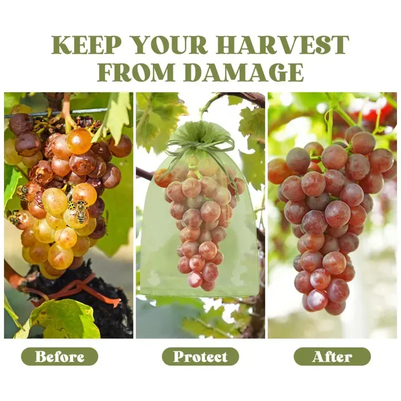 Sacs Filet Réutilisables en Organza – Protection Fruits, Raisin & Oiseaux