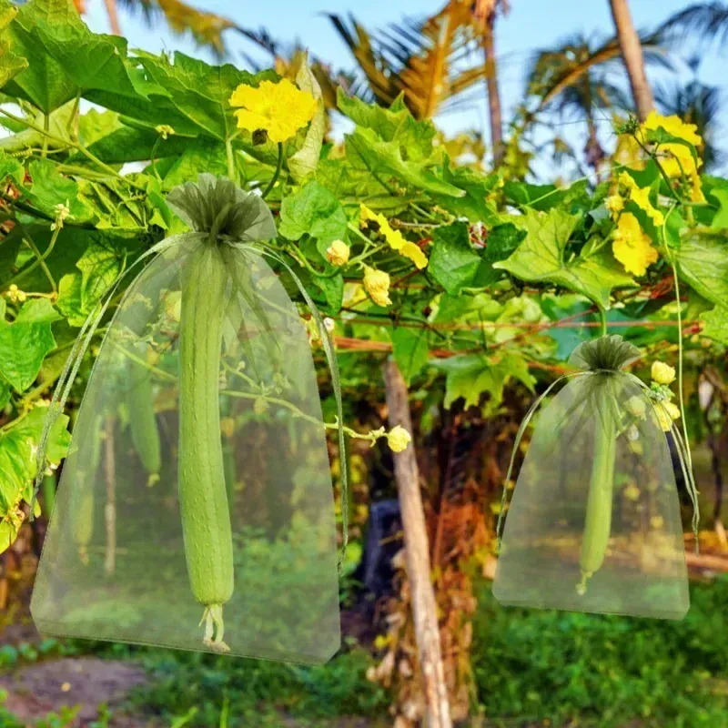 Sacs Filet Réutilisables en Organza – Protection Fruits, Raisin & Oiseaux