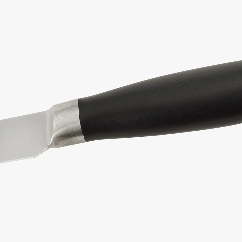 Cuchillo Jamonero Serie Clara 250 mm