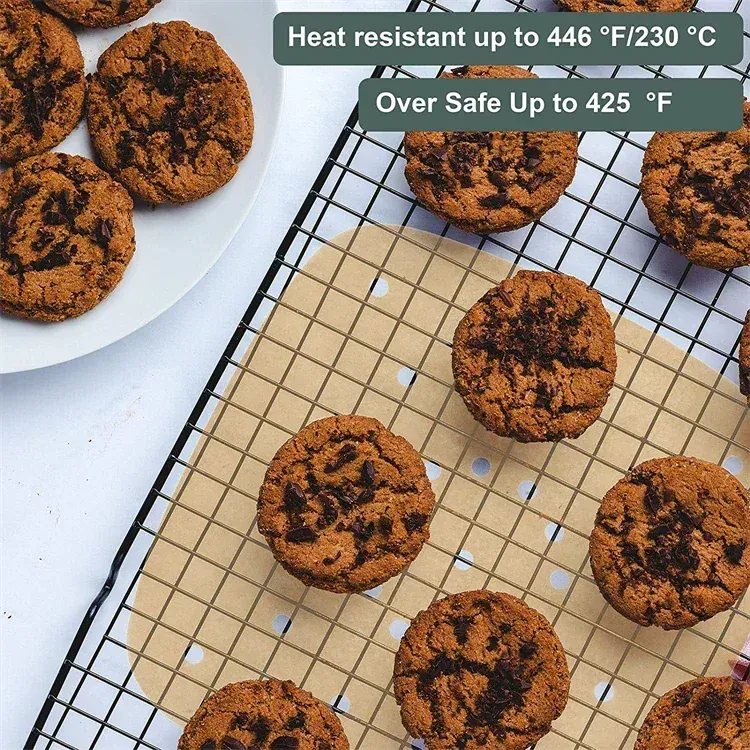Papier Cuisson Air Fryer Jetable Carré Perforé - Lot de 100 Pièces