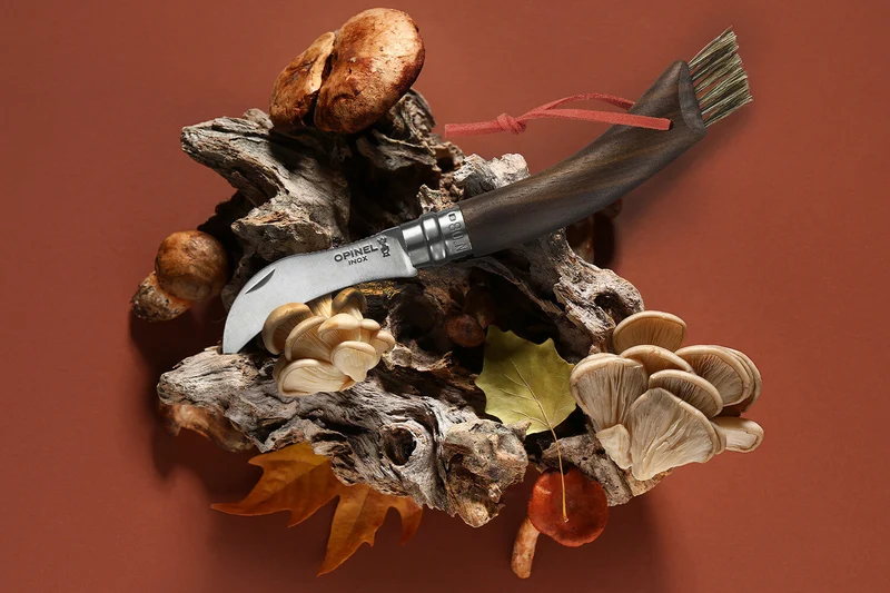 Couteau à champignon Opinel N°08 noyer noir + brosse intégrée + plumier