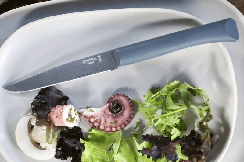 Couteau de table Opinel Bon Appétit + lame 11cm en inox manche en polymère sauge