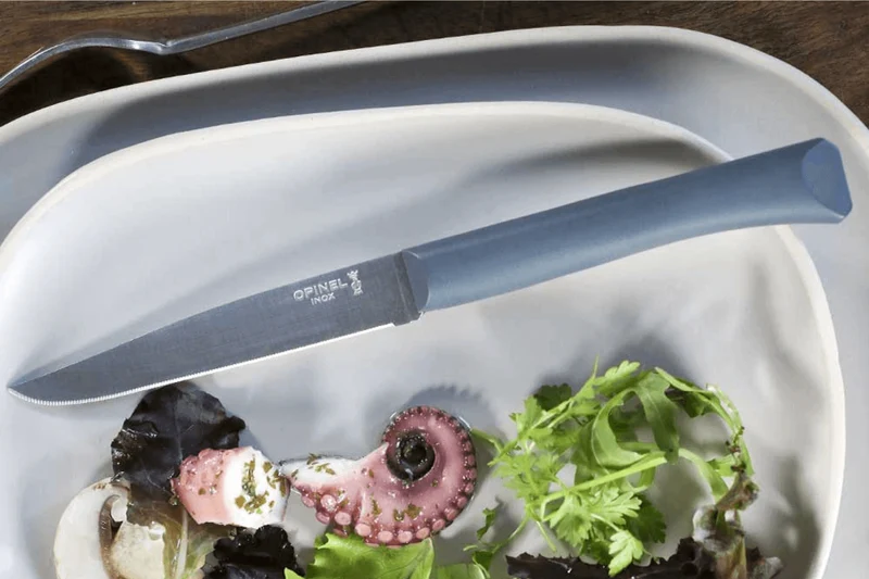 Couteau de table Opinel Bon Appétit + lame 11cm en inox manche en polymère anthracite