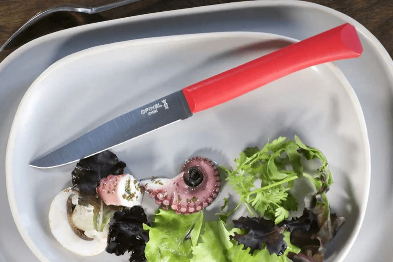 Couteau de table Opinel Bon Appétit + lame 11cm en inox manche en polymère rouge