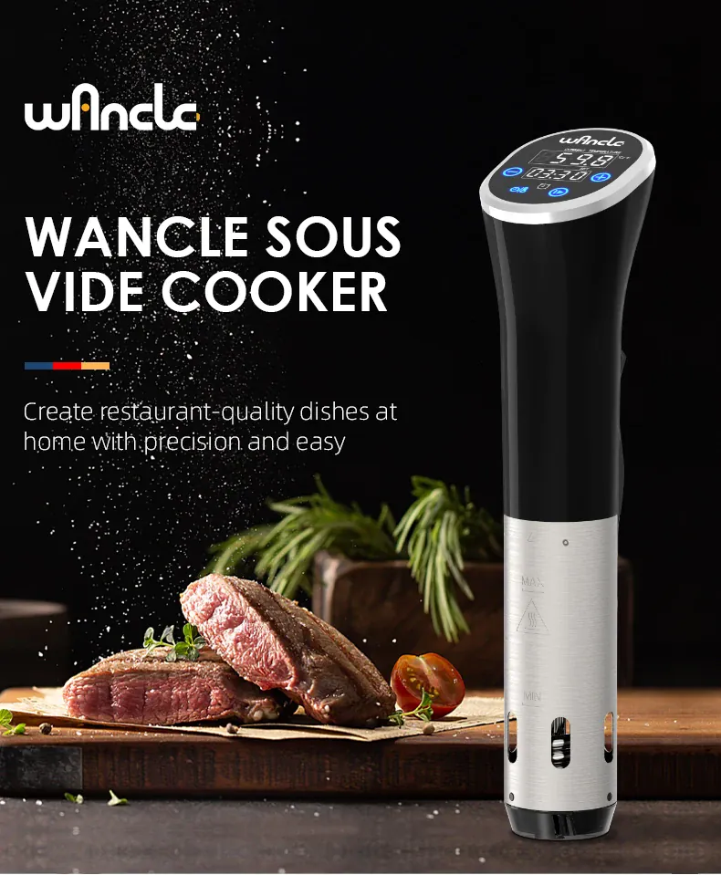 Cuiseur Sous Vide à Immersion 1100W Écran LCD Étanche IPX7