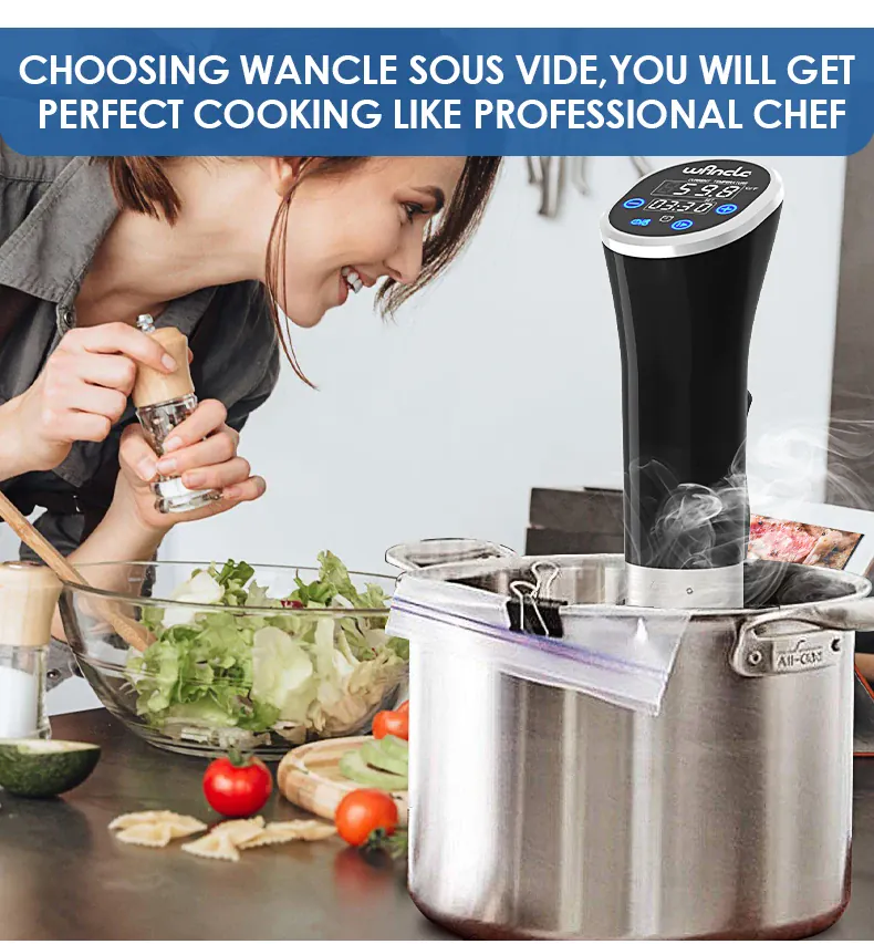 Cuiseur Sous Vide à Immersion 1100W Écran LCD Étanche IPX7