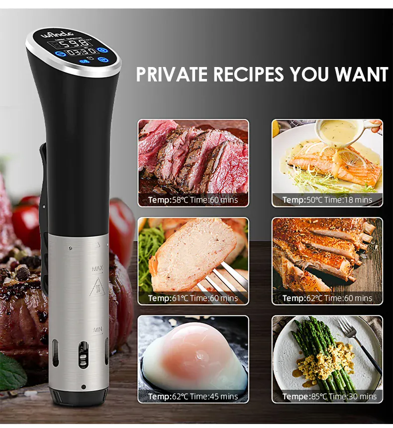 Cuiseur Sous Vide à Immersion 1100W Écran LCD Étanche IPX7