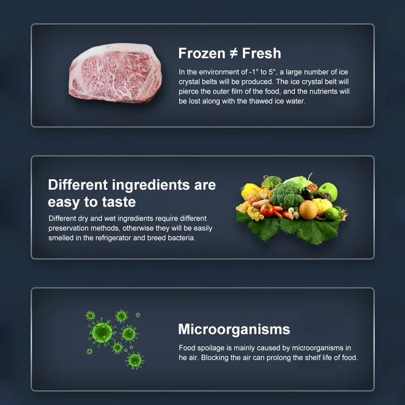 Machine Sous Vide Alimentaire 60 kPa avec 10 Sacs de Conservation