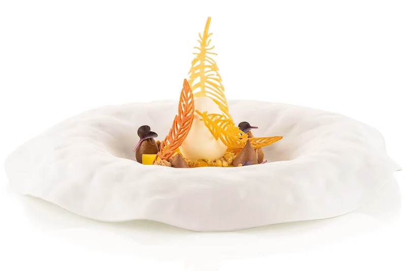 Moule en silicone professionnel Silikomart Naturae 470x270mm 20 plumes