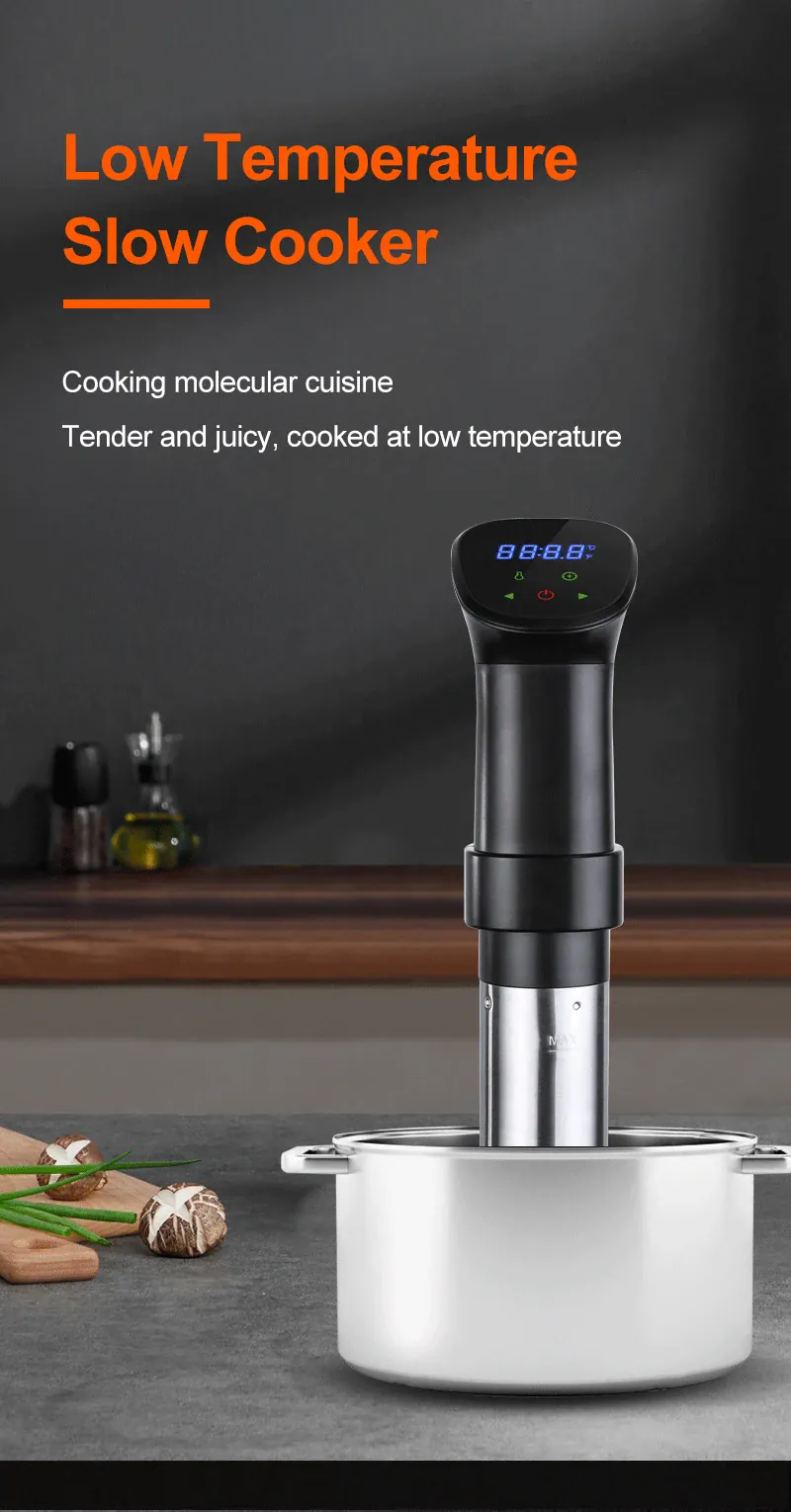 Cuiseur Sous Vide à Immersion 1800W avec Affichage LED Digital